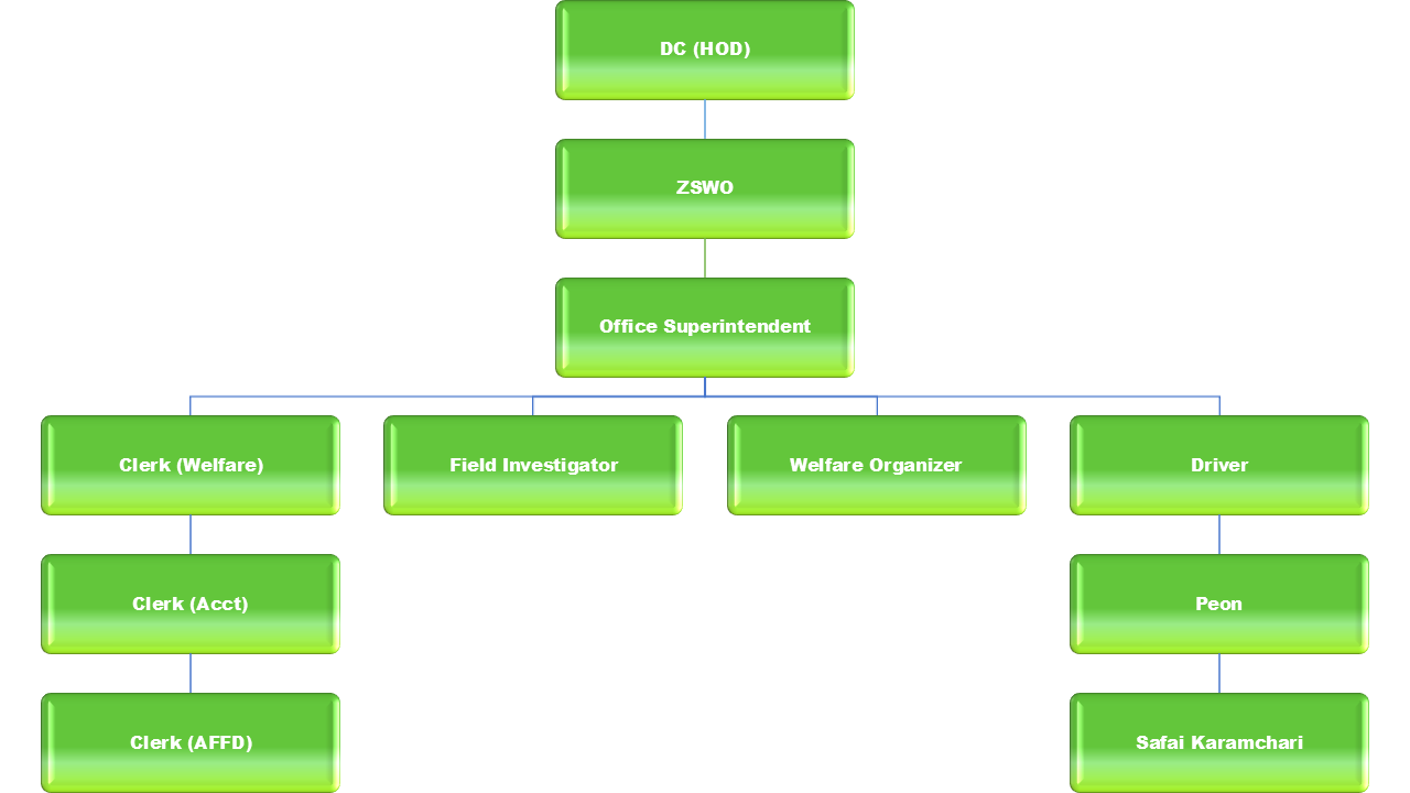 Organization Chart
